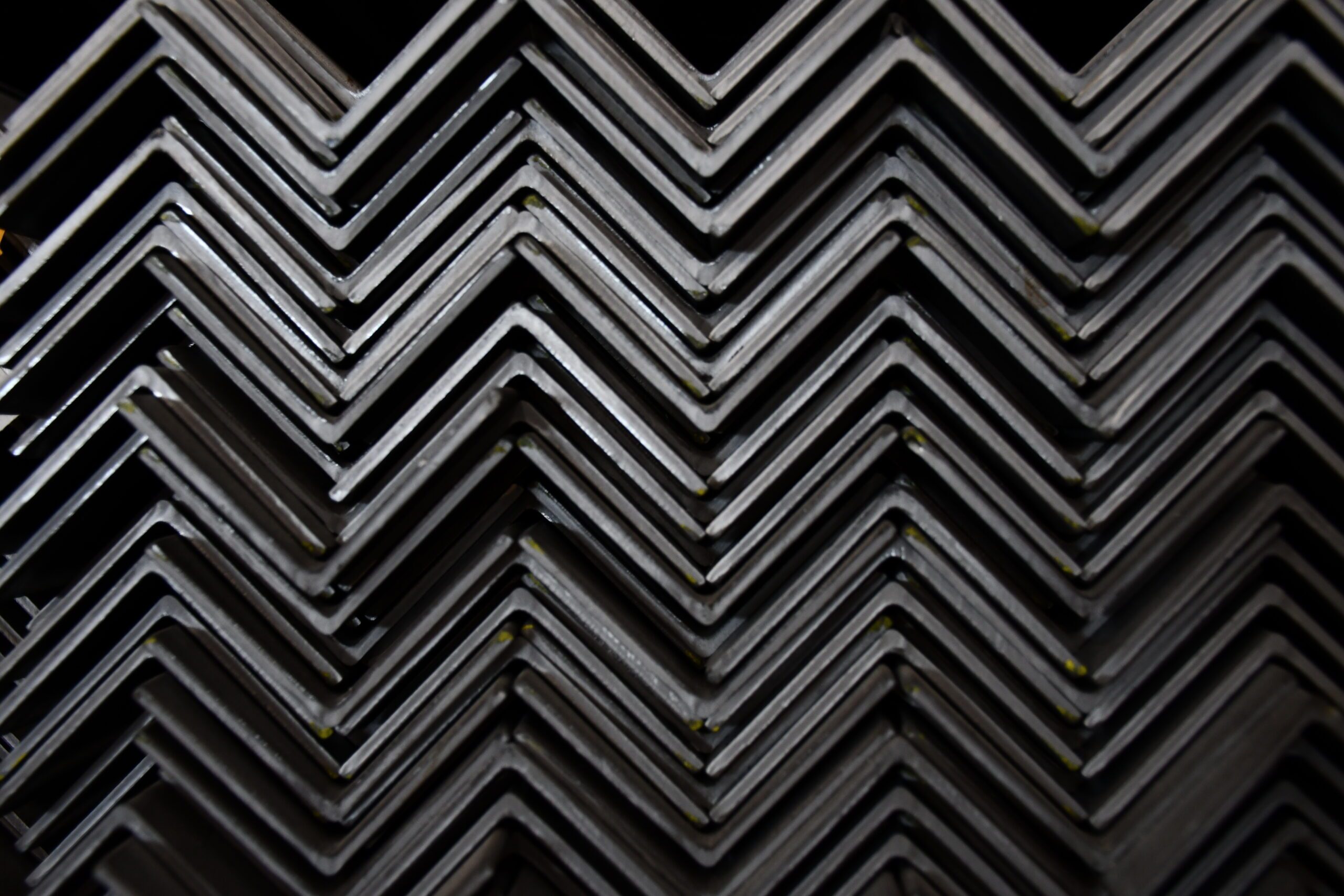 DSC_0510 Angle
